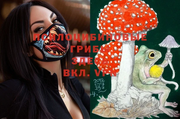 ешки Няндома