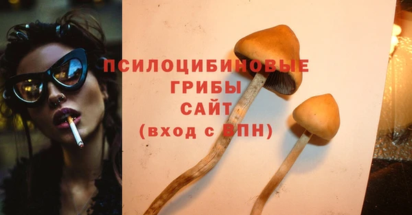 mdpv Осинники