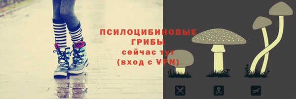 меф Нягань
