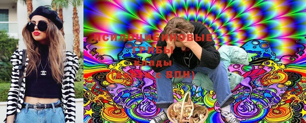 mdpv Осинники