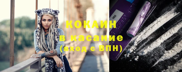 ешки Няндома